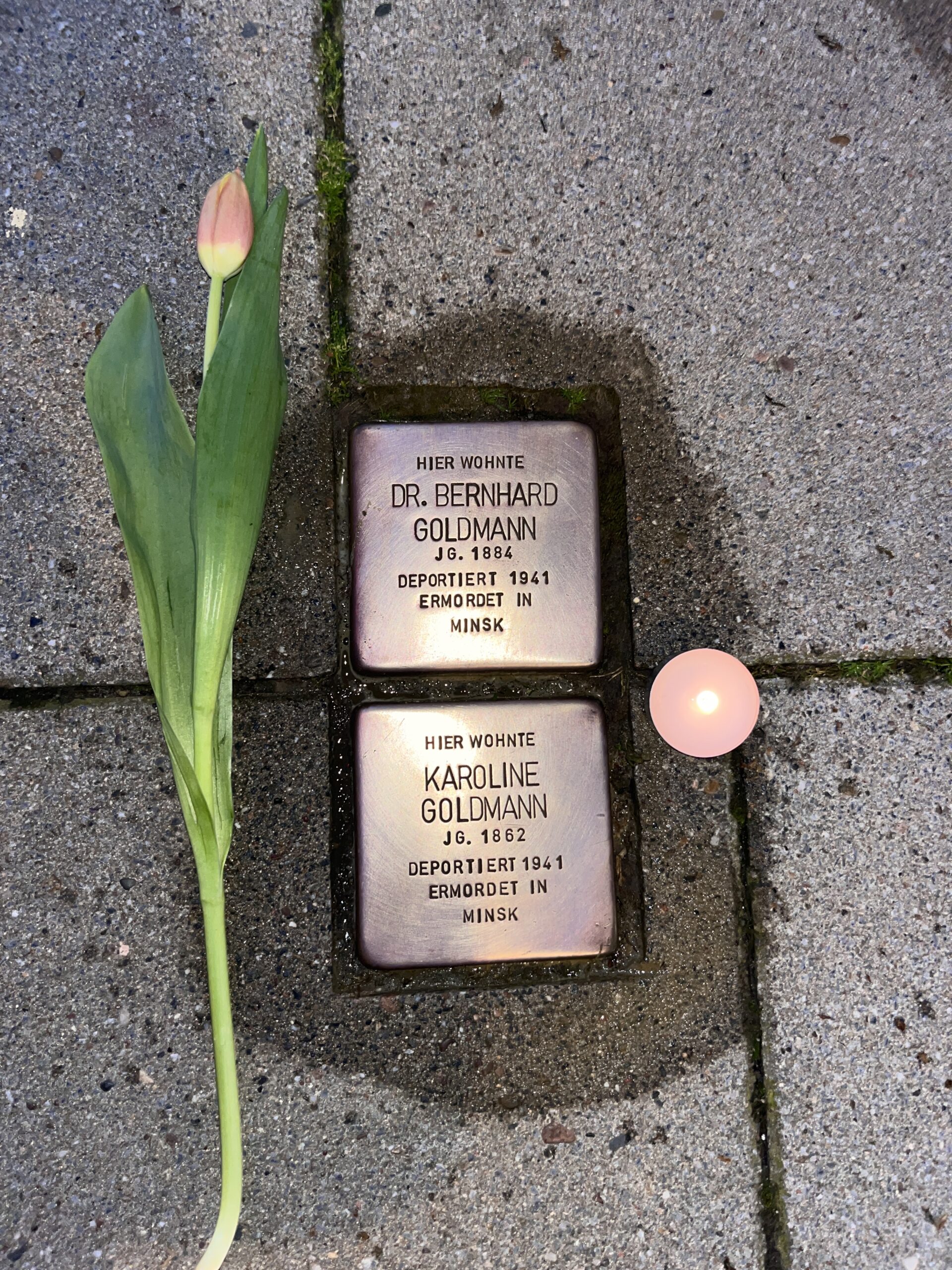 Die Putzaktion der Stolpersteine in der Seestadt von den Jusos Bremerhaven war ein voller Erfolg!